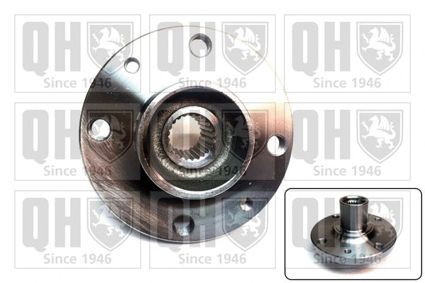 Wheel Hub (QWH171)