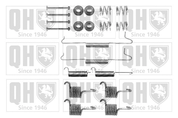 Accessory Kit, brake shoes (BFK419)