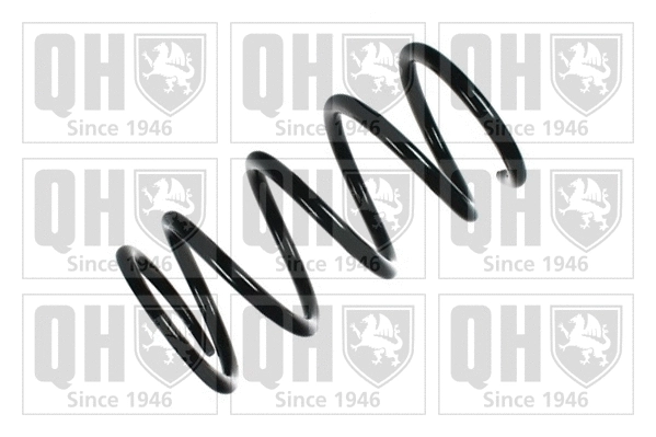 Suspension Spring (QCS8190)