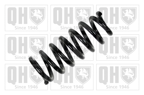 Suspension Spring (QCS6201)