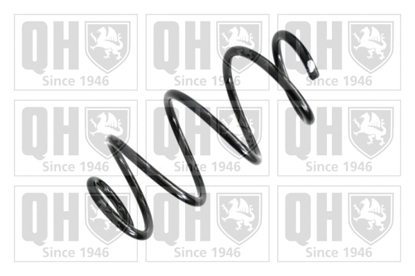 Suspension Spring (QCS5883)