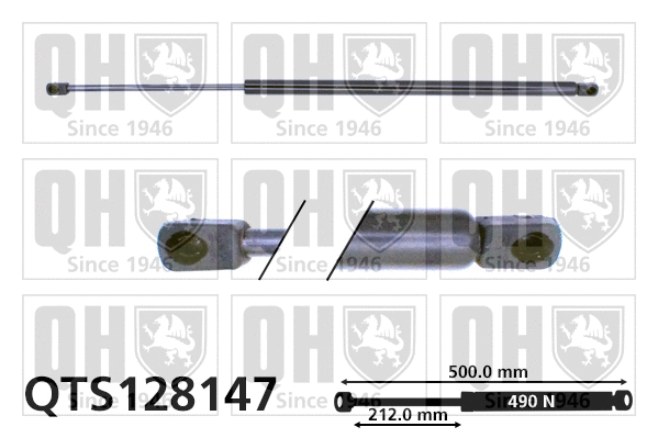 Gas Spring, boot/cargo area (QTS128147)