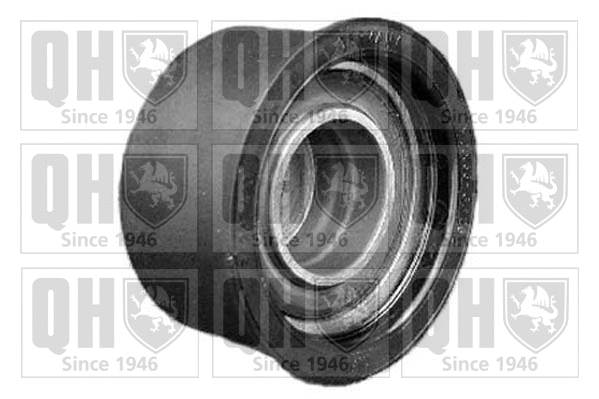 Deflection/Guide Pulley, timing belt (QTT944)