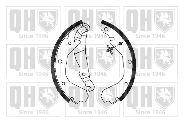 Brake Shoe Set (BS709)