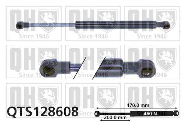 Gas Spring, boot/cargo area (QTS128608)