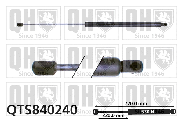 Gas Spring, boot/cargo area (QTS840240)