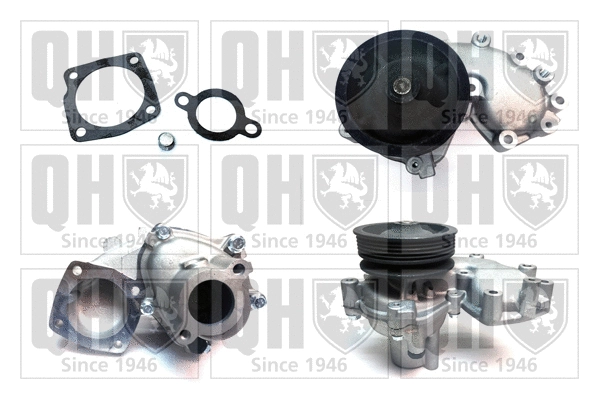 Water Pump, engine cooling (QCP2697BH)