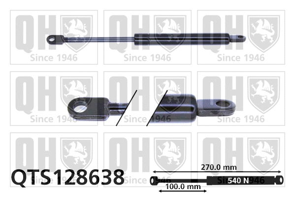 Gas Spring, bonnet (QTS128638)