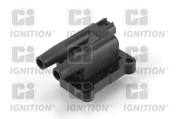 Ignition Coil (XIC8400)