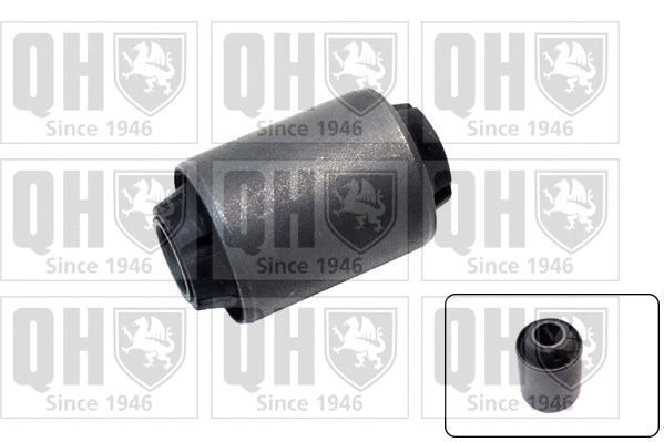 Mounting, control/trailing arm (EMS8237)