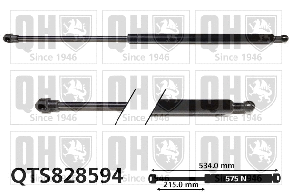 Gas Spring, boot/cargo area (QTS828594)