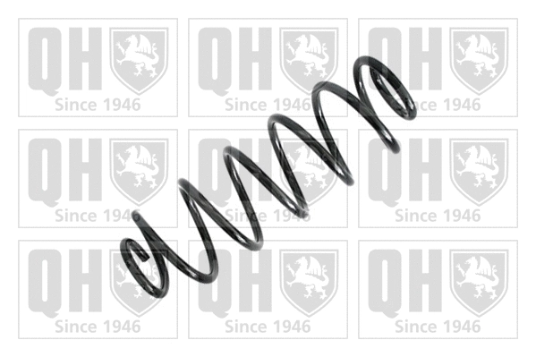 Suspension Spring (QCS8232)