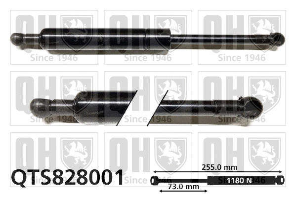Gas Spring, boot/cargo area (QTS828001)