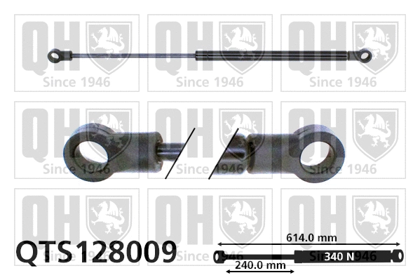 Gas Spring, boot/cargo area (QTS128009)