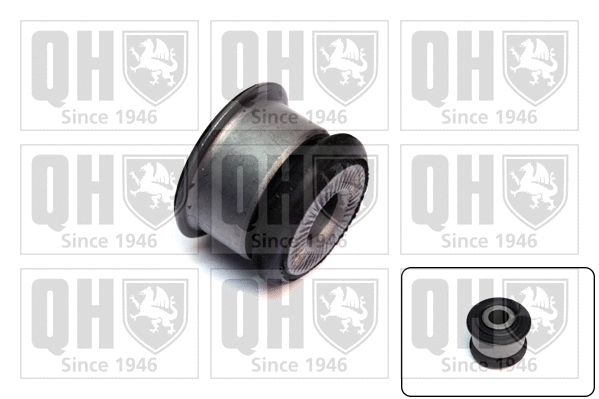Bushing, axle beam (EMS8619)