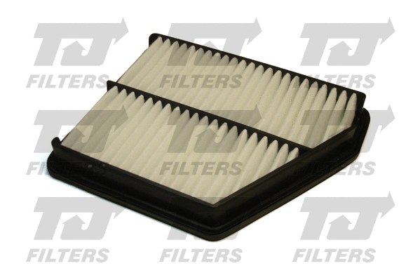 Air Filter (QFA0079)