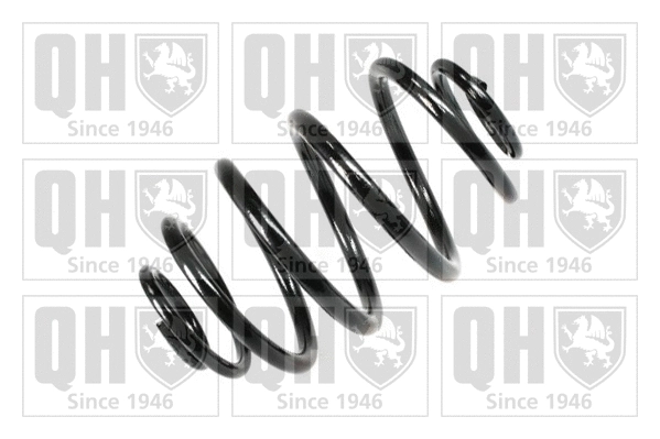 Suspension Spring (QCS6699)