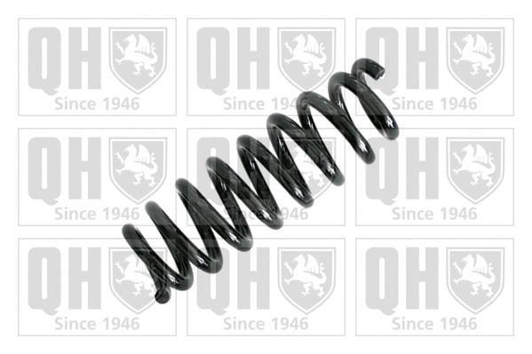 Suspension Spring (QCS6387)