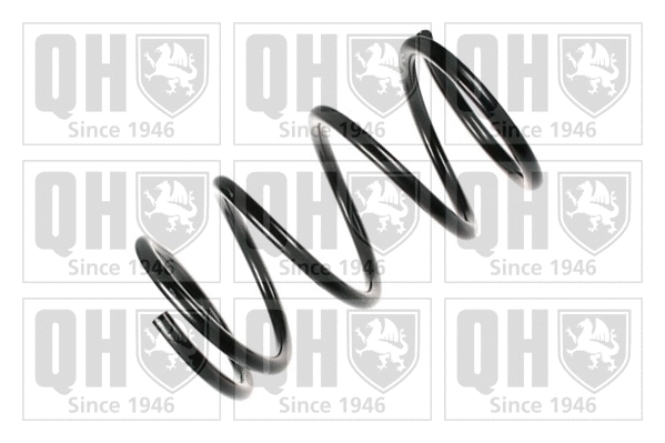 Suspension Spring (QCS6029)