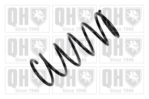 Suspension Spring (QCS6487)