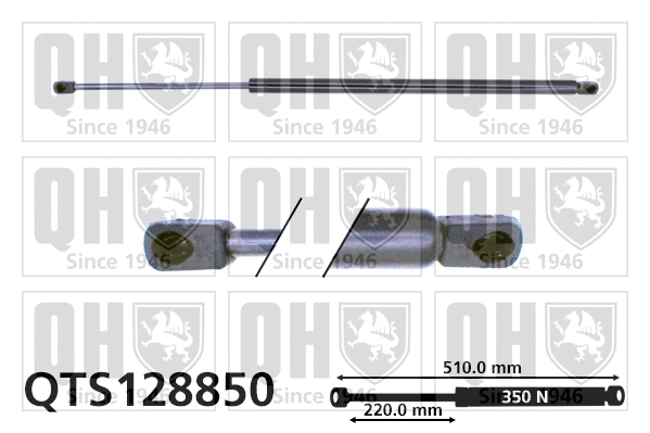 Gas Spring, bonnet (QTS128850)