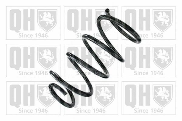 Suspension Spring (QCS8950)
