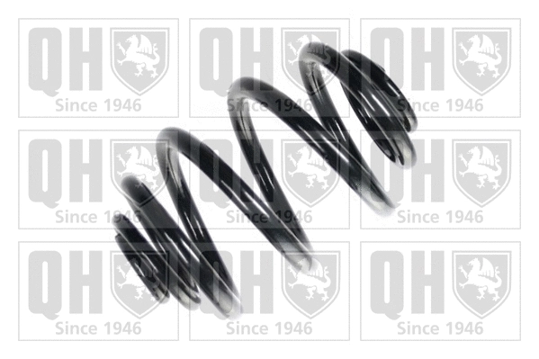 Suspension Spring (QCS6599)