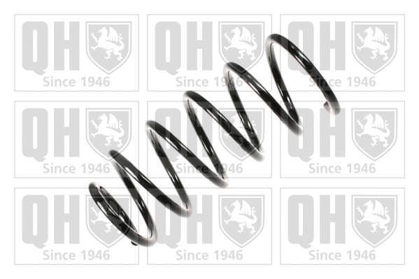 Suspension Spring (QCS6230)