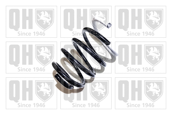 Suspension Spring (QCS5995)