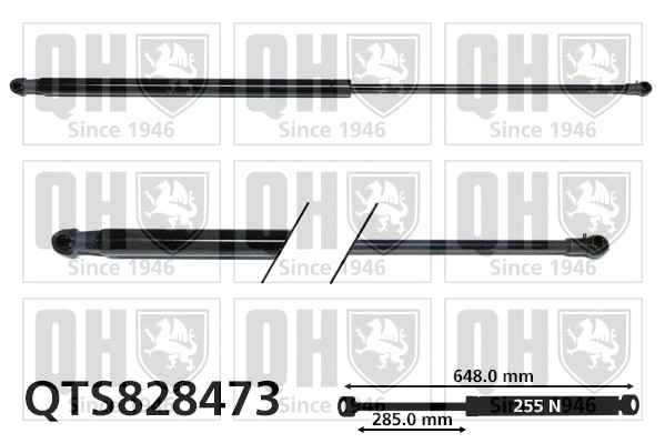 Gas Spring, boot/cargo area (QTS828473)