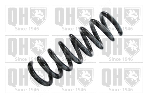 Suspension Spring (QCS8138)