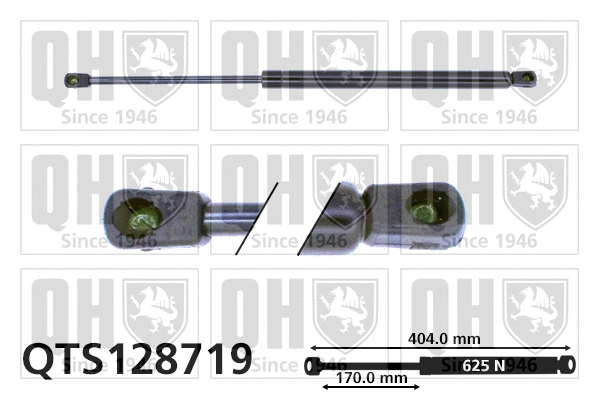 Gas Spring, boot/cargo area (QTS128719)