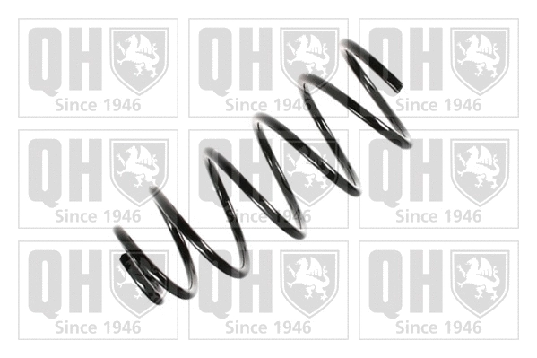 Suspension Spring (QCS6931)