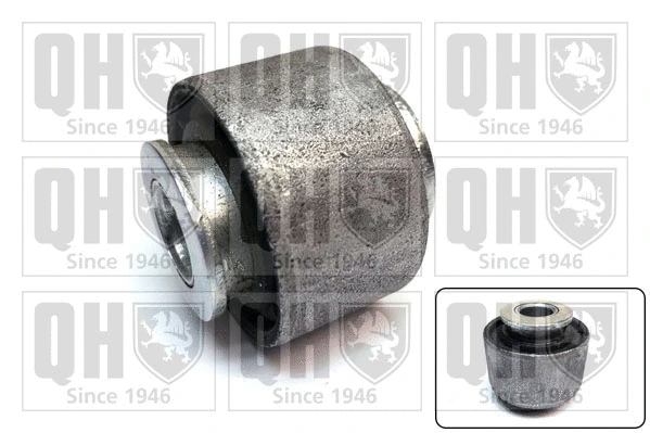 Mounting, control/trailing arm (EMS8496)