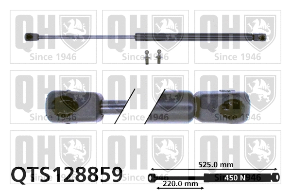 Gas Spring, boot/cargo area (QTS128859)