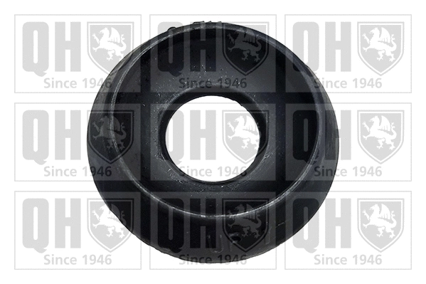 Suspension Strut Support Mount (EMR4799)