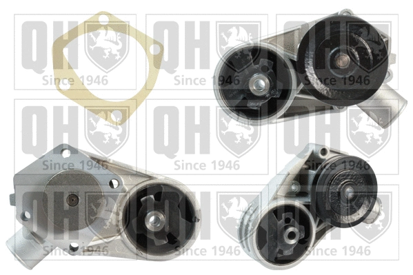 Water Pump, engine cooling (QCP2862)