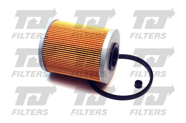 Fuel Filter (QFF0173)