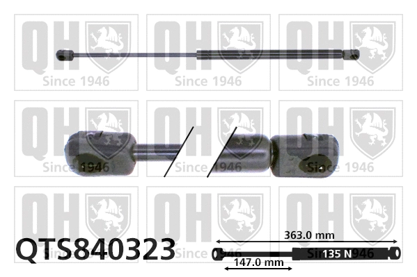Gas Spring, rear window (QTS840323)