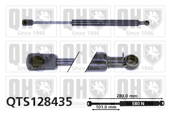 Gas Spring, boot/cargo area (QTS128435)