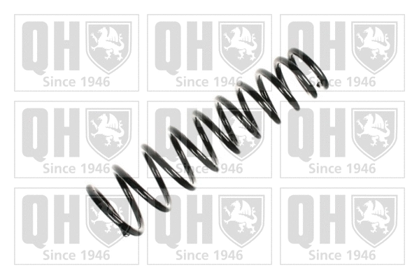 Suspension Spring (QCS5561)