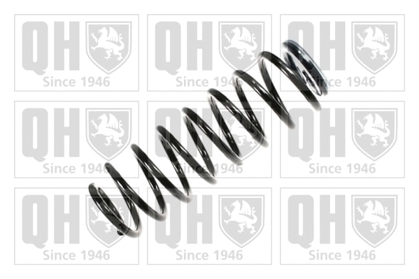 Suspension Spring (QCS8159)