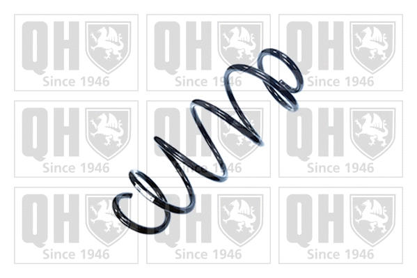 Suspension Spring (QCS8917)