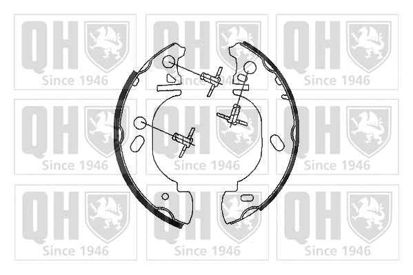 Brake Shoe Set (BS920)