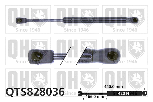Gas Spring, boot/cargo area (QTS828036)