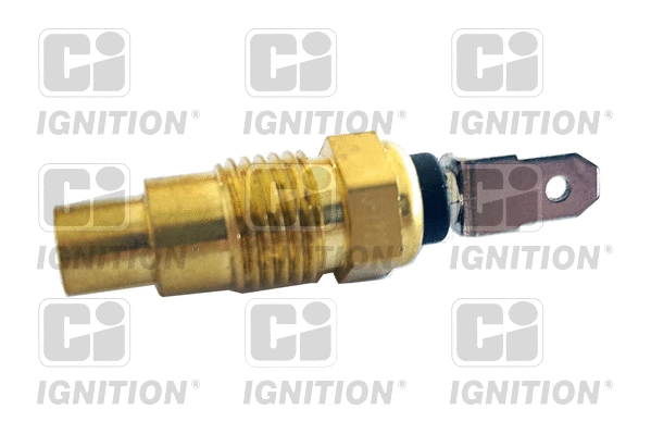 Sensor, coolant temperature (XTT65)