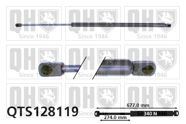 Gas Spring, boot/cargo area (QTS128119)
