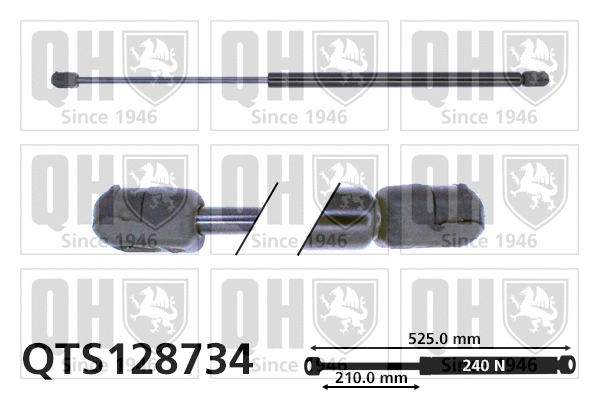 Gas Spring, bonnet (QTS128734)