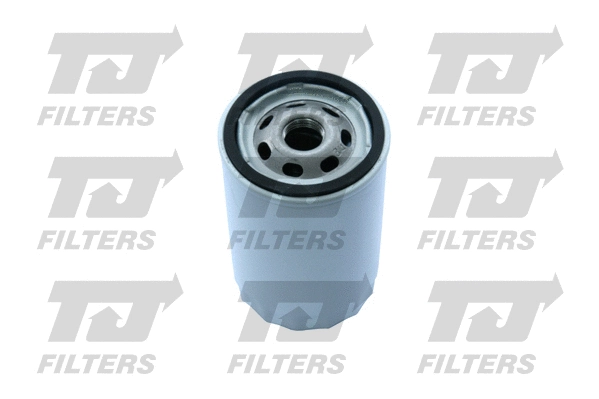 Oil Filter (QFL0250)