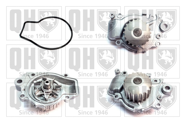 Water Pump, engine cooling (QCP2740)